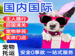 延吉朝阳川航空运输国际宠物托运 【国